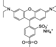 Structure of Rhodamine B