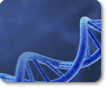 DNA & RNA Sequencing 