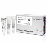 A549 Cell Avalanche™ Transfection Reagent  product image