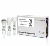 COLO 205 Cell Avalanche™ Transfection Reagent (human colon adenocarcinoma cell) product image