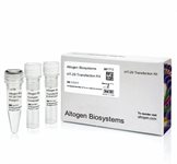 HT-29 Cell Avalanche™ Transfection Reagent (human colon adenocarcinoma cell) product image