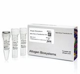 MIA PaCa-2 Cell Avalanche™ Transfection Reagent (human pancreas carcinoma cell) product image