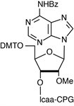 2'-OMe-A-RNA-CPG product image