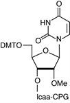 2'-OMe-U-RNA-CPG product image