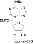 Bz-A-RNA-CPG product image