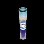 100 bp DNA Ladder - Load Ready™  product image