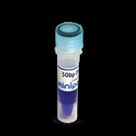 50 bp DNA Ladder, Load Ready™  product image