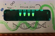 P51™ qPCR Lab - Principles of Quantitative PCR product image