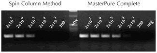 Figure 4 Comparison of PCR sensitivity using templates obtained using the MasterPure Complete DNA and RNA Purification Kit versus a spin column kit